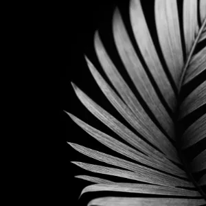 AE3 Studios Template Loader Image